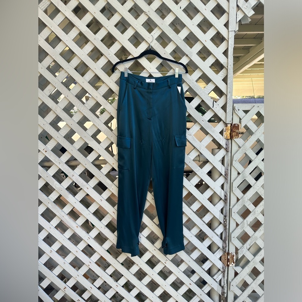 Aritzia Babaton Refined Satin Cargo Pant